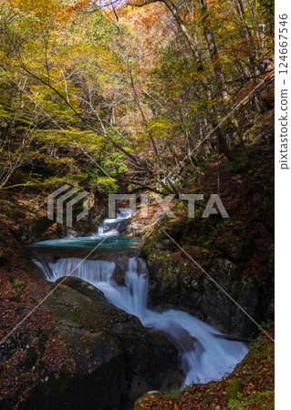 Autumn in Yamanashi, Yamanashi Prefecture: Nishizawa Valley with autumn leaves, Mie Falls 124667546