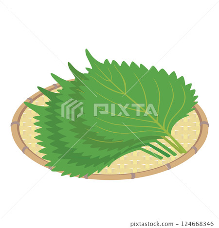 紫蘇圖標 紫蘇圖標 124668346