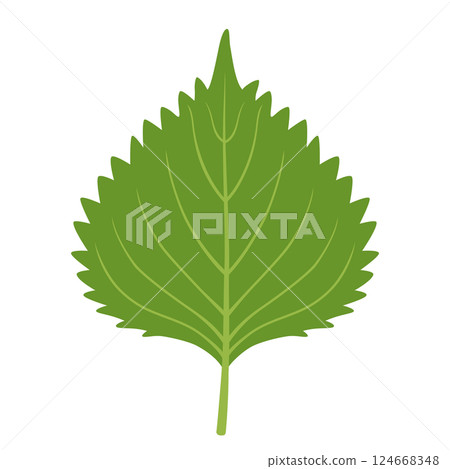 Perilla icon 124668348