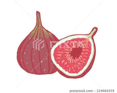 Illustration of ripe and cut figs 124668359