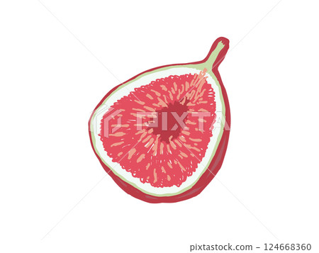An illustration of a ripe cut fig seen from an angle 124668360