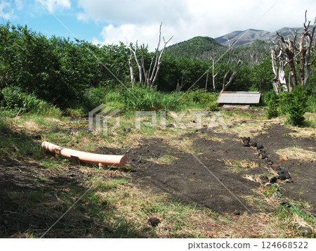 Miyakejima Shiidori Shrine lava 124668522