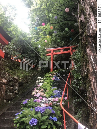 紅色鳥居、繡球花和氣球 紅色鳥居、繡球花和氣球 124668874