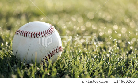 棒球球在草地上 124669200