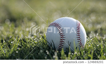 棒球球在草地上 棒球球在草地上 124669201