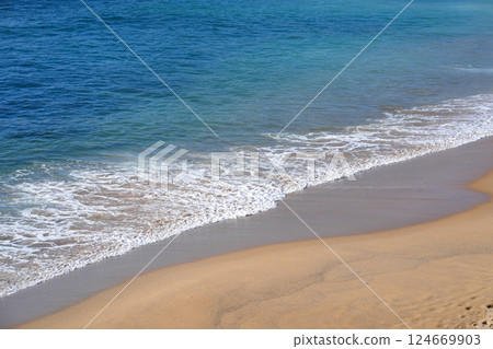 Tropical sandy beach with turquoise ocean and Tropical sandy beach with turquoise ocean and 124669903