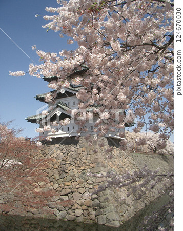 弘前城天守閣(青森縣弘前市) 弘前城天守閣(青森縣弘前市) 124670030