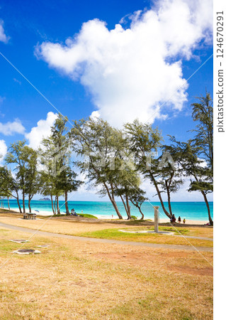 Hawaii Waimanalo Beach 124670291