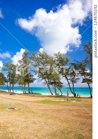 Hawaii Waimanalo Beach 124670292