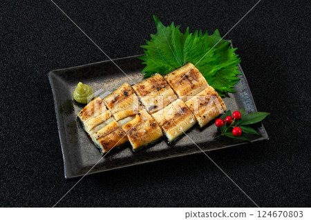 Eel, unagi, unagi fillet 124670803