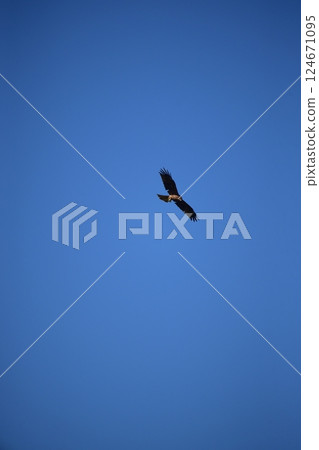 A kite flying in the blue sky A kite flying in the blue sky 124671095