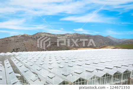 Aerial view industrial agricultural greenhouses for growing. Greenhouse industrial exterior. Food farming industry with giant buildings. Industrial modern farm glasshouse. Aerial view industrial agricultural greenhouses for growing. Greenhouse industrial exterior. Food farming industry with giant buildings. Industrial modern farm glasshouse. 124671350