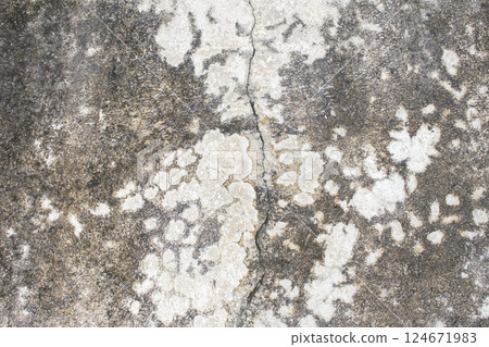 background texture old cement walls have crack background texture old cement walls have crack 124671983