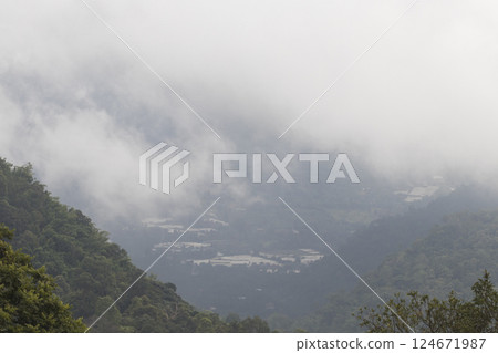 vegetation farm at mountain have fog in the morning vegetation farm at mountain have fog in the morning 124671987