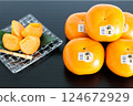 Hakata Akio, seedless, completely sweet persimmon from Fukuoka Prefecture 124672929