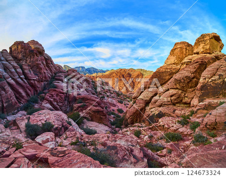 Red Rock Canyon Layers and Shrubs Panorama with Eye-Level View 124673324