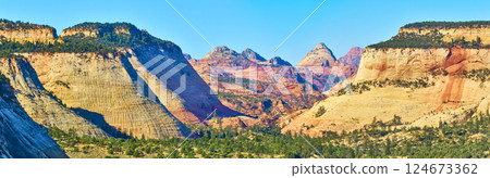 Aerial of Zion Sandstone Cliffs and Pine Forest Panorama 124673362