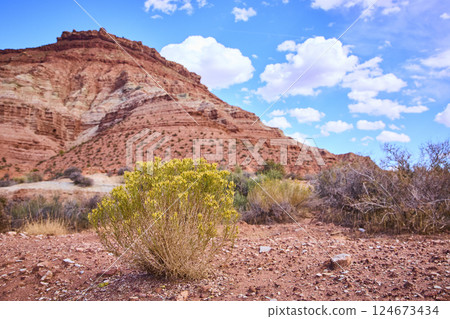 Rugged Red Rock Formation with Desert Foliage Eye-Level Perspective Rugged Red Rock Formation with Desert Foliage Eye-Level Perspective 124673434