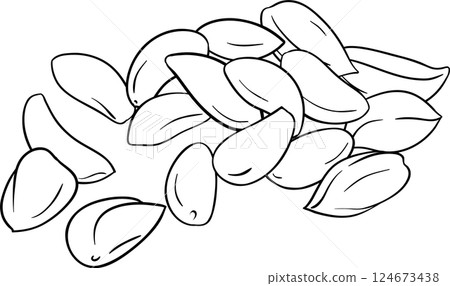 Brazil Nuts Outline Illustration Brazil Nuts Outline Illustration 124673438
