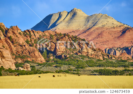 Majestic Red Rock Formations and Golden Grassland at Eye Level in Zion Park Majestic Red Rock Formations and Golden Grassland at Eye Level in Zion Park 124673459