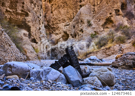 Desert Resilience with Charred Wood and Cliff Backdrop Low Perspective 124673461