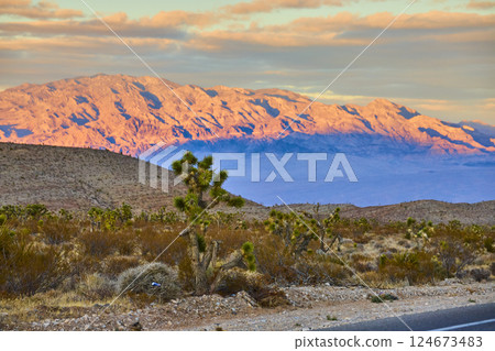 Joshua Trees and Mountain Range at Sunset Golden Hour Perspective Joshua Trees and Mountain Range at Sunset Golden Hour Perspective 124673483