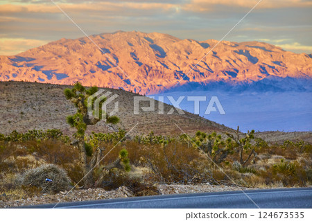 Desert Sunset with Joshua Tree and Mount Charleston Eye-Level View 124673535
