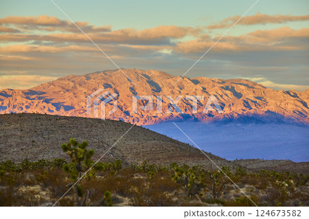 Serene Nevada Desert Mountains at Golden Hour with Joshua Trees 124673582