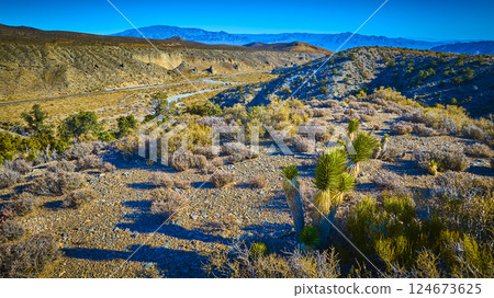 Aerial Desert Road Through Mojave Landscape with Mountains Aerial Desert Road Through Mojave Landscape with Mountains 124673625