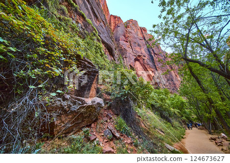 Towering Red Cliffs and Lush Greenery Hiking Trail Perspective Towering Red Cliffs and Lush Greenery Hiking Trail Perspective 124673627