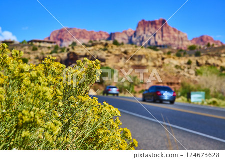 Highway Through Desert Wildflowers and Red Rocks Motion Perspective 124673628