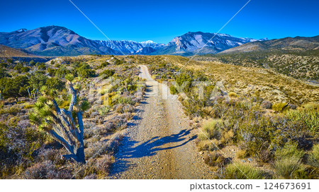 Aerial of Rugged Desert Path and Majestic Mountains at Golden Hour 124673691