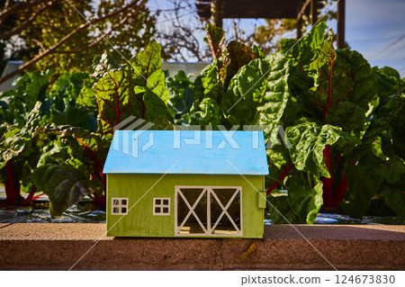 Miniature Green House in Garden with Swiss Chard in Warm Afternoon Light 124673830