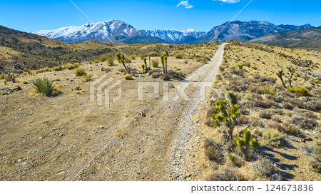 Aerial of Mojave Desert with Snow-Capped Mountains and Joshua Trees Aerial of Mojave Desert with Snow-Capped Mountains and Joshua Trees 124673836