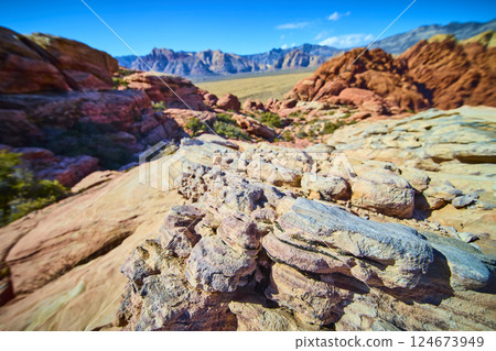 Red Rock Canyon Rugged Terrain Close-Up Eye-Level Perspective 124673949