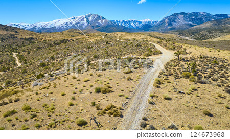 Aerial of Desert Road Leading to Snowy Mountains in Nevada 124673968