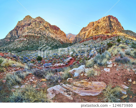 Red Rock Canyon Peaks at Golden Hour with Desert Vegetation Red Rock Canyon Peaks at Golden Hour with Desert Vegetation 124673980