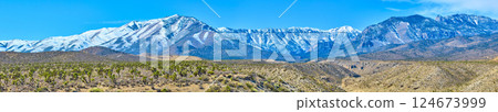 Aerial of Snow-Capped Mt Charleston Over Desert in Nevada 124673999
