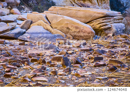 Quail on Rocky Sandstone at Sunrise Calico Tanks Trail Perspective Quail on Rocky Sandstone at Sunrise Calico Tanks Trail Perspective 124674048