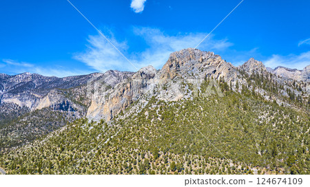 Aerial of Mt Charleston Peaks and Alpine Forest 124674109