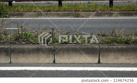 Median curb and weeds Median curb and weeds 124674256