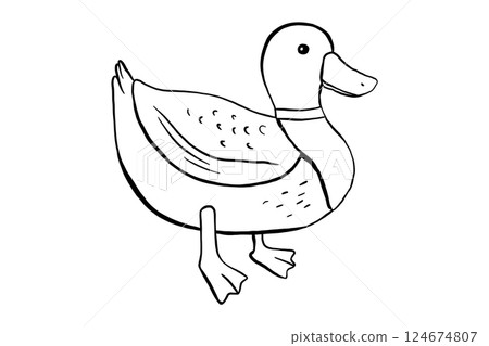 Outline standing duck. Vector illustration of pond bird isolated on white background. Duckling doodle 124674807
