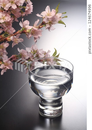 Sakura and Sake Sakura and Sake 124674996