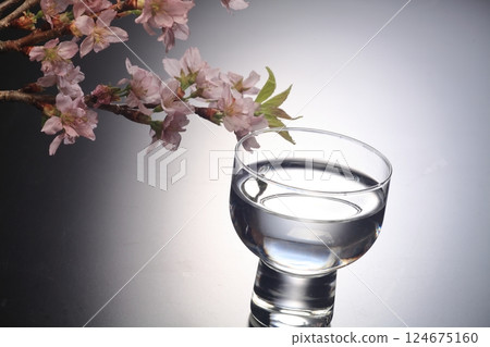 Sakura and Sake 124675160