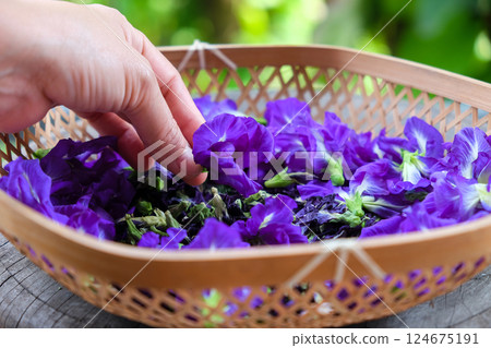 Thai herbal medicine. 124675191