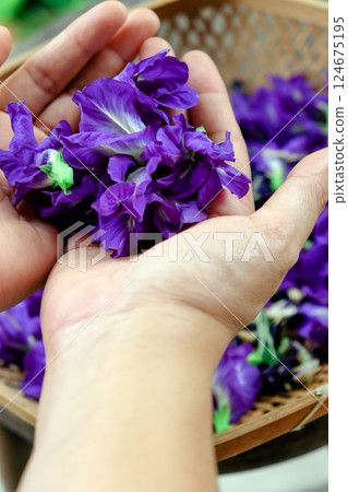 Thai herbal medicine. Thai herbal medicine. 124675195