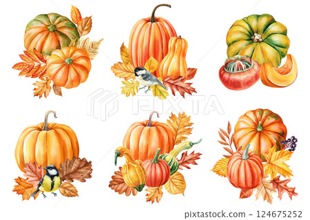 Set orange pumpkins, autumn leaves seasonal fall harvest illustration botanical composition isolated. Colorful pumpkin 124675252