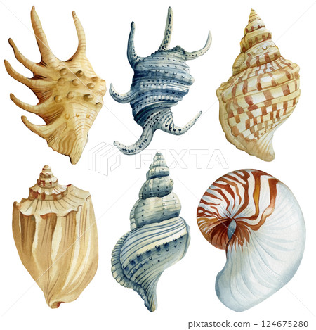 Watercolor sea shells set, hand painted ocean conch, spiral shells clipart, marine coastal elements isolated background Watercolor sea shells set, hand painted ocean conch, spiral shells clipart, marine coastal elements isolated background 124675280