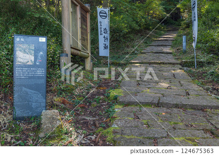 Gifu Iwamura Castle Fujisaka 124675363