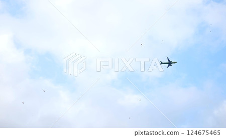 Passenger jet flying amid scattered clouds, winged companions surrounding sleek aircraft, symbolizing aerial journey and freedom 124675465